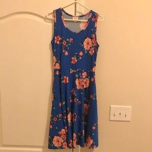 Lularoe Nicki dress.
